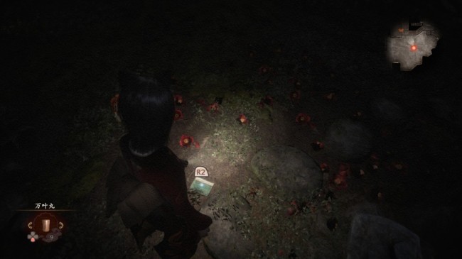 《零红蝶：重制版》宗方良藏任务指南