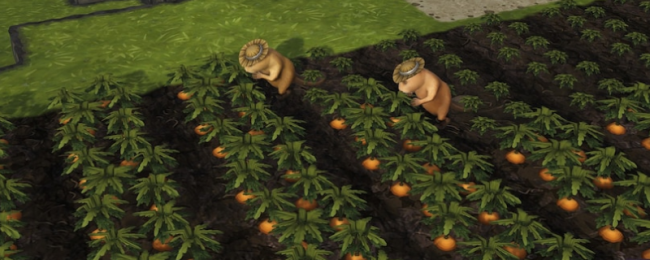 《海狸浮生记》即食食物先容