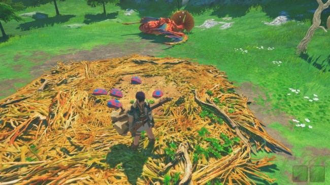 《怪物猎人物语3：命运双龙》撤退巢穴介绍