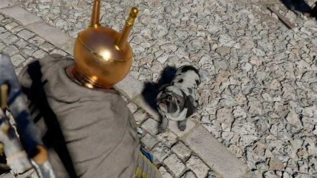 玩家发现《红色沙漠》独特机制 竟能让小动物溺死