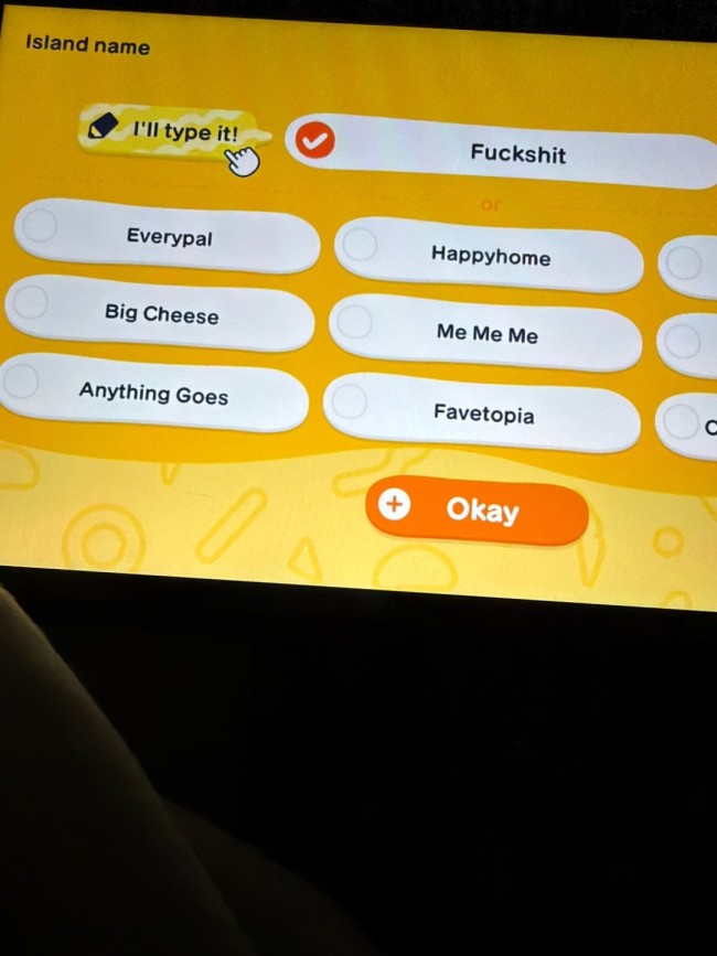 这还是任天堂?《朋友收集 梦想生活》试玩版脏话乱飞