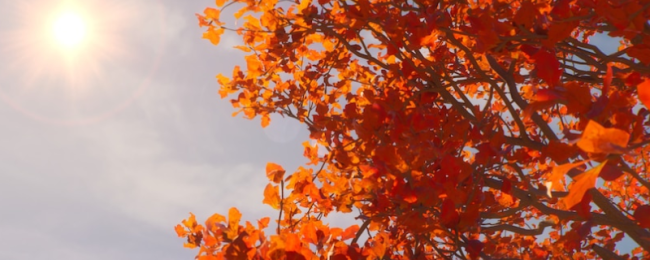 《奇异人生：重聚》结局成就解锁指南