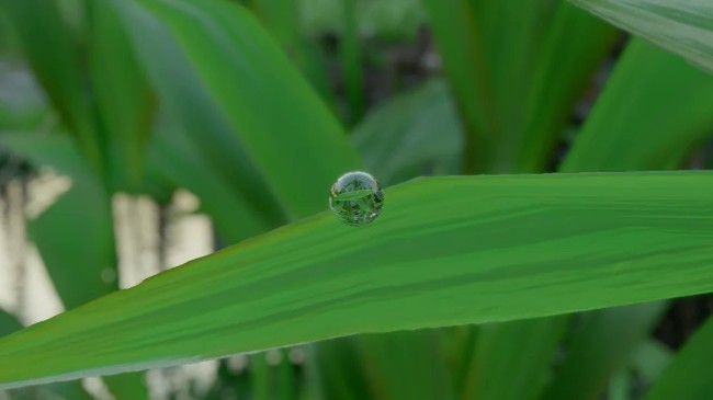 《红色沙漠》惊人细节 一颗小水珠竟能倒映周遭环境