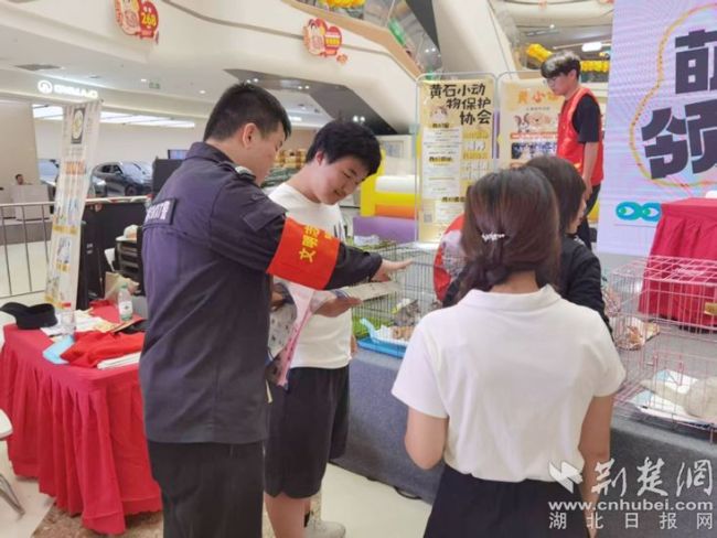 黄石举办“萌宠领养计划”，让“汪星人”有家可归