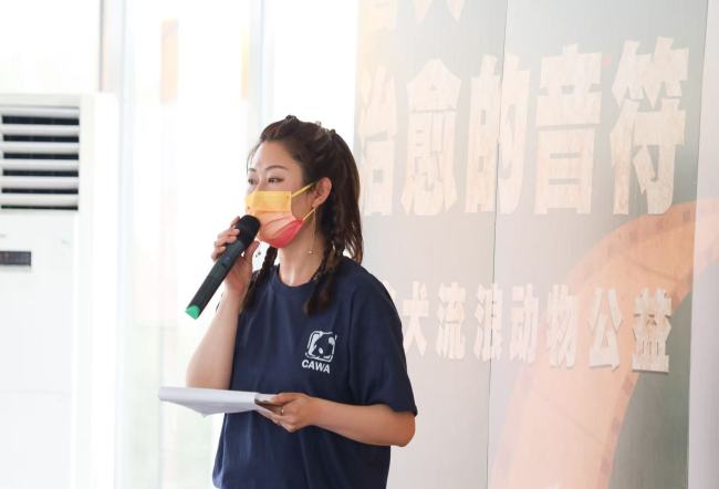 从街头流浪到心灵治愈：疗愈犬公益项目点亮流浪犬的“第二人生”