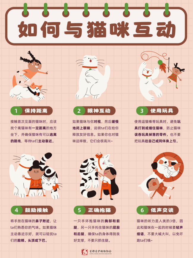 猫咪狗狗知识