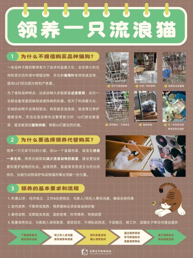 猫咪狗狗知识