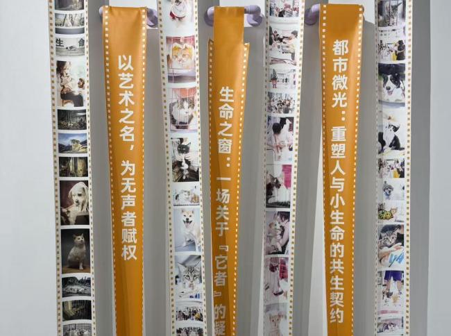 看见生命！这场公益展为无法说话的生命发声