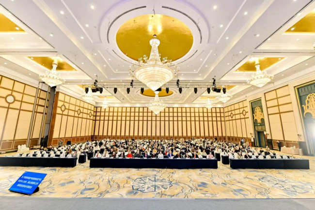 贯彻二十届四中全会精神,迈向时效救援护理新时代:----第17届灾害护理学术研讨会胜利召开