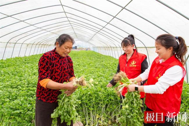 当书本“遇见”蔬菜,公益文化铸就企业温暖底色