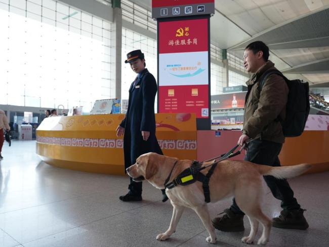新春走基层丨春运里的温柔守护：导盲犬“拿铁”与视障旅客的暖心旅途