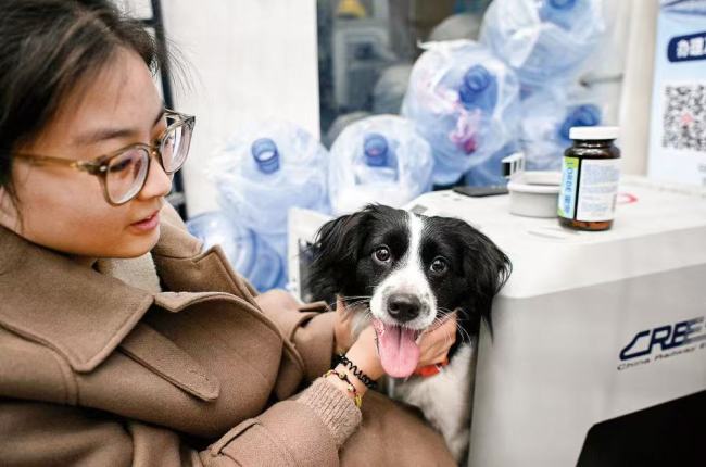 携宠旅行潮起，千亿宠游市场如何驶向新蓝海？