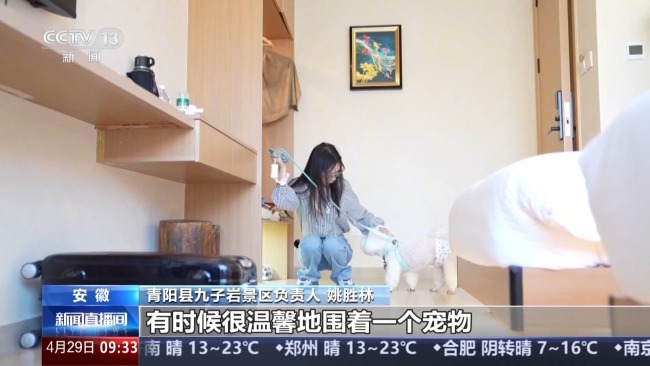 从携宠旅游到宠物百货 “宠物经济”不断拓展新场景