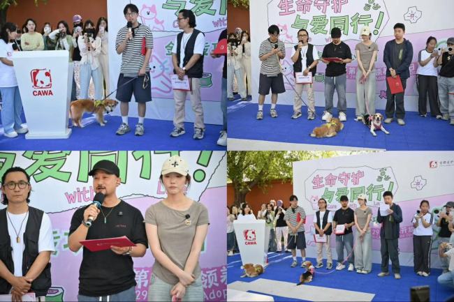 首都爱护动物协会举办第29届领养开放日，演员金晨爱心公益项目同步启动