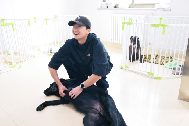 中秋赴暖！首都爱护动物协会领养开放日举行，“疗愈犬公益推广大使”授牌