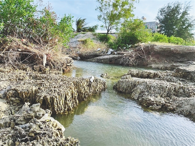 海南岛首次发现岸上珊瑚礁遗迹