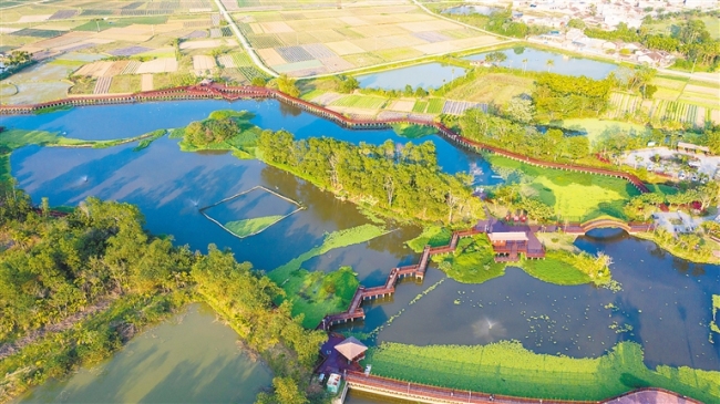 俯瞰位于屯昌县屯城镇东南部的文赞湿地公园。 方山 摄