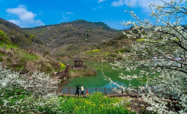 “一尺一寸”，众筹和美乡村