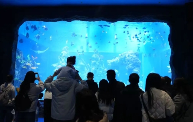 鹿鸣湖畔春日限定花海+游玩攻略，承包你的假期！