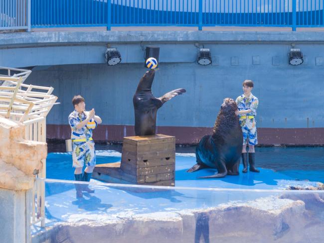 襄阳奇幻谷“奇梦烟花光影秀”五一璀璨上新