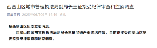西塞山区城市管理执法局副局长王征接受纪律审查和监察调查