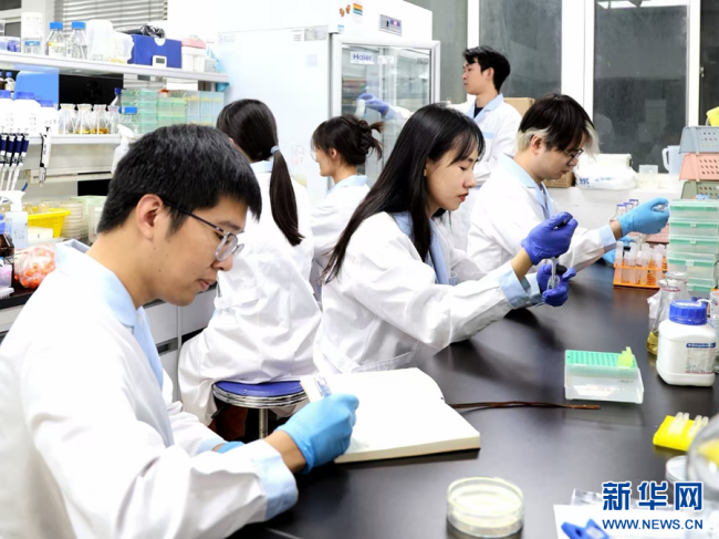 图为湖北大学学生进行合成生物相关实验。受访单位供图