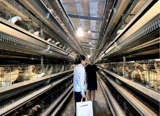 邮储银行广水市支行注入1.1亿金融活水 精准赋能蛋禽产业升级