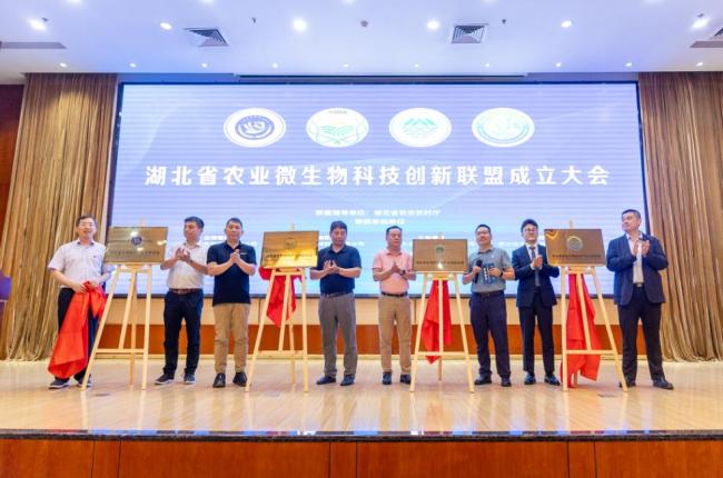 富邦科技2025年中报：创新现代农业服务模式， 全球化运营成效显著
