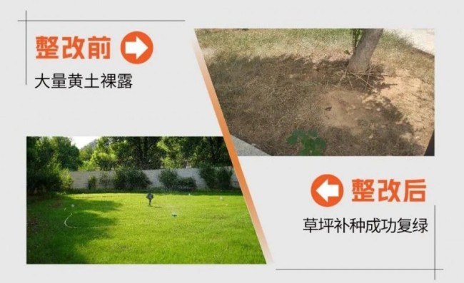 中物协调研武汉瑞安府：见证东原仁知以党建引领破局，365天重塑“停摆小区”蜕变之路