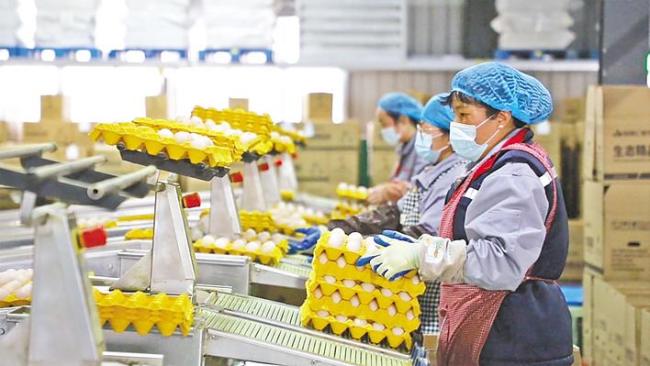 建始富硒蛋串起百亿产业链