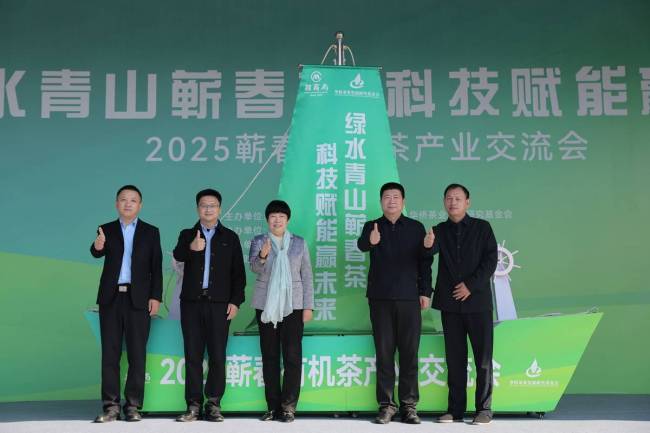 蕲春有机茶产业交流会举行 科技赋能千年茶乡闯新路