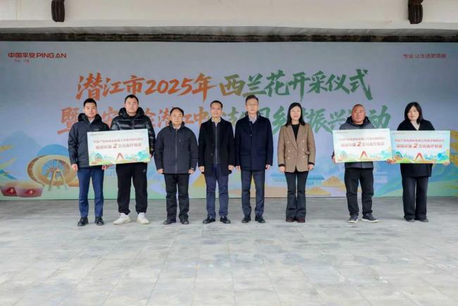 潜江市2025年西兰花开采仪式暨平安产险潜江中支开展“平安保驾护航，花开产业兴旺”乡村振兴活动圆满举行