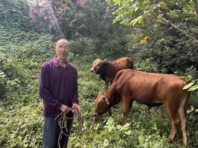 新华保险湖北分公司：深学笃行凝聚奋进力量 以实干实绩服务金融强国建设