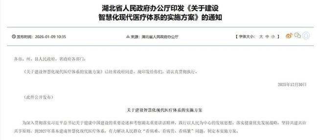 湖北发布“智慧医疗”重点任务清单
