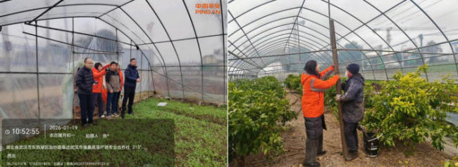 平安产险武汉中支多项防灾减损举措积极应对寒潮雨雪天气