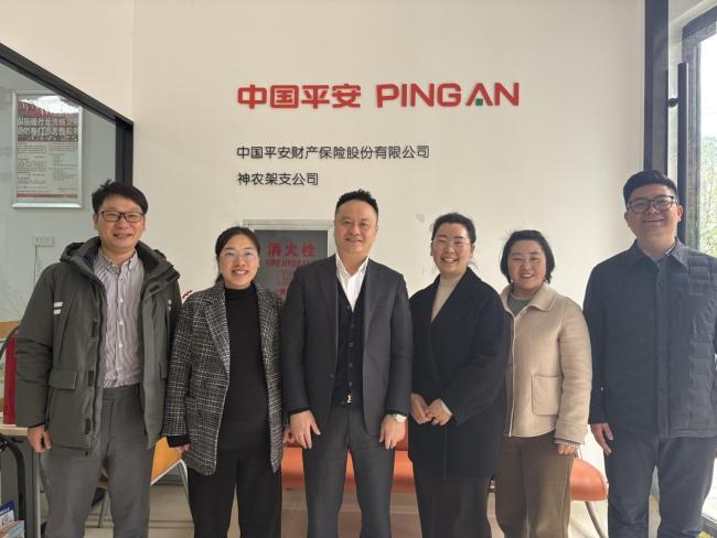 新春慰问暖人心，深入一线解民忧，平安产险湖北分公司新春走基层绘就民生与发展新篇