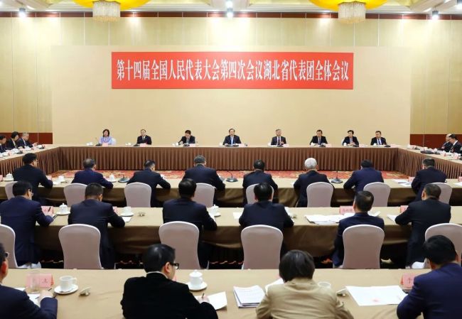 湖北代表团举行全体会议审议全国人大常委会工作报告和“两高”工作报告 王忠林主持并发言 李殿勋等参加