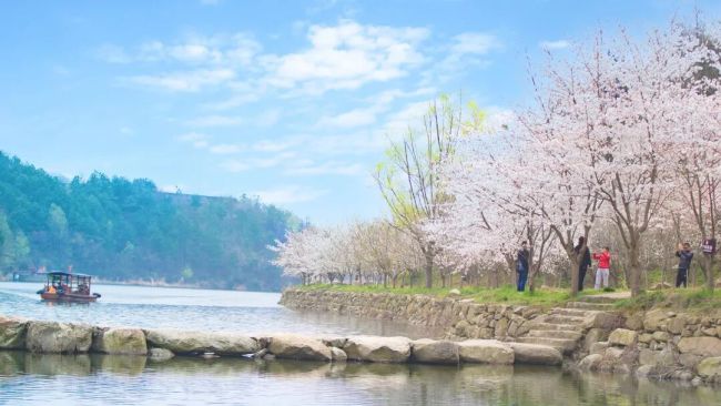 黄陂锦鲤土司城首届彩虹健康跑新闻发布会召开