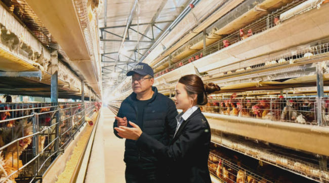 邮储银行安陆市支行金融活水“贷”动蛋禽产业振兴