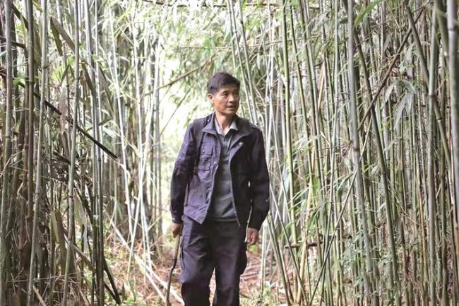 徒步30万公里，磨破46双胶鞋，40年扎根原始林海  通山护林员刘炳生入选“湖北好人”