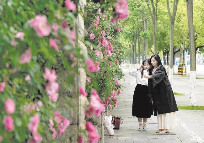 推窗见绿 出门赏花  黄石“花城计划” 绘就宜居画卷