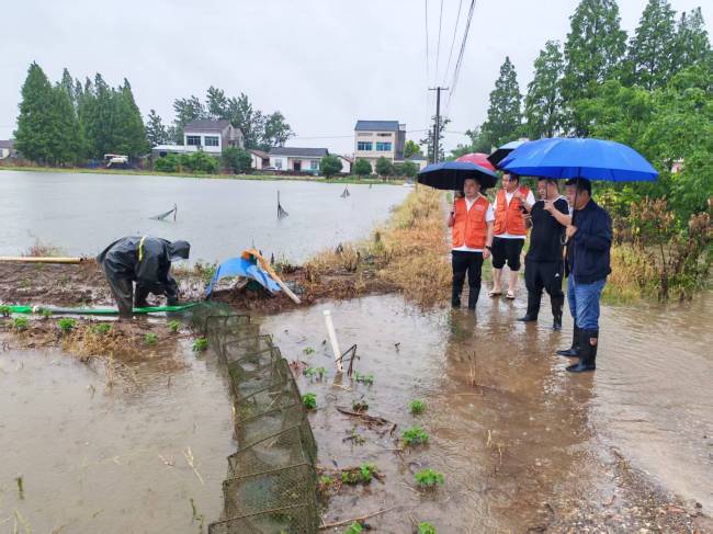 平安产险公安支公司: 筑牢小龙虾养殖防灾防线