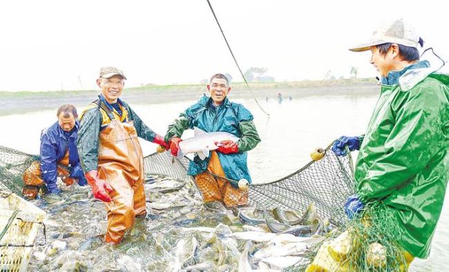 湖北省十大重点农业产业链综合产值1.19万亿元 基本形成百亿企业、千亿集群、万亿产业发展格局