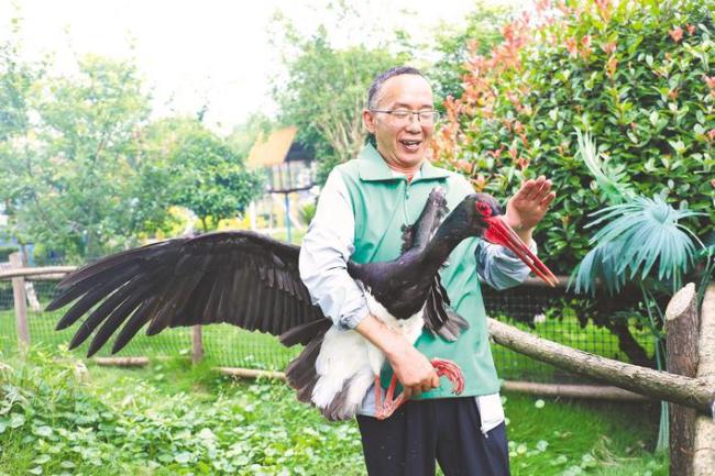 江陵“守鹤人”27年救护1200多只珍稀鸟类  “也许有一天，仙鹤真的会飞回来”