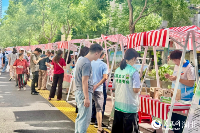 武汉：全域铺绿 走出生态治理新路