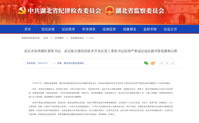 武汉市东西湖区委原书记、武汉临空港经济技术开发区党工委原书记彭涛被“双开”