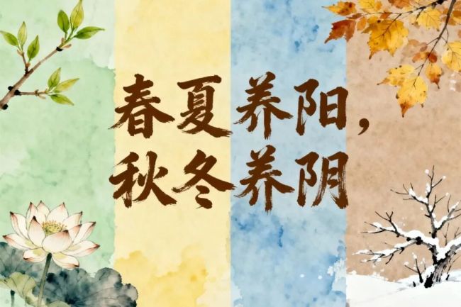李克权:从黄帝内经到三伏内病外治之道