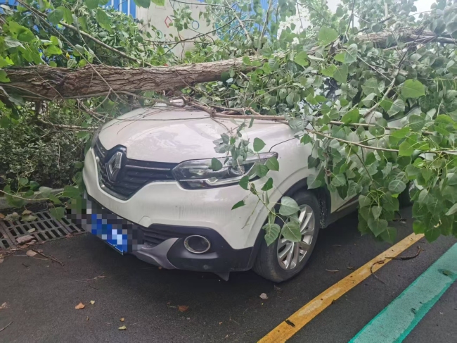 迎战台风“巴威”,平安产险湖北分公司首案赔付仅用时27分钟