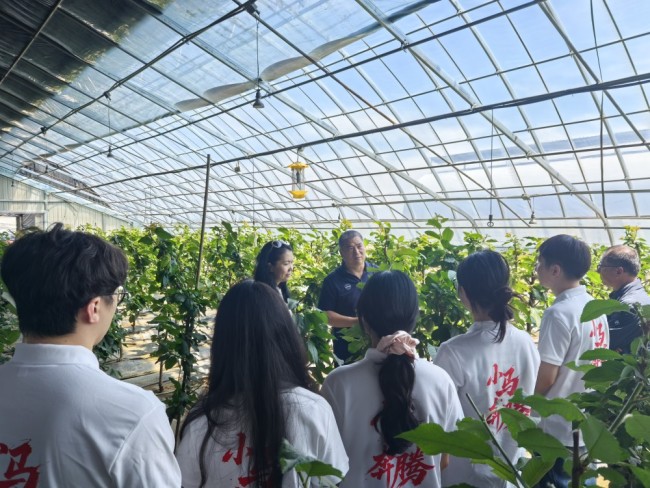 青春赋能基层治理 哈工程小马奔腾实践团调研东北乡村积分制建设