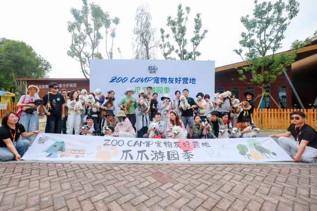 遛娃遛宠两相宜!武汉3.8公顷闲置绿地变身全时段宠物友好营地